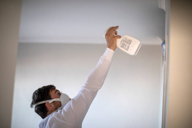 Best Toxic Mold Removal  in Fort Polk South, LA