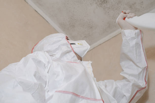 Best Water Damage Restoration  in Fort Polk South, LA