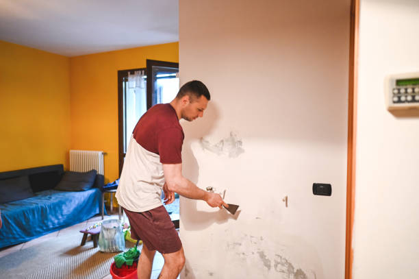 Best Home Mold Removal  in Fort Polk South, LA